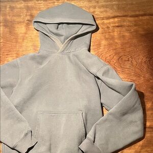Aritzia Gray Women's Hoodie Sweater